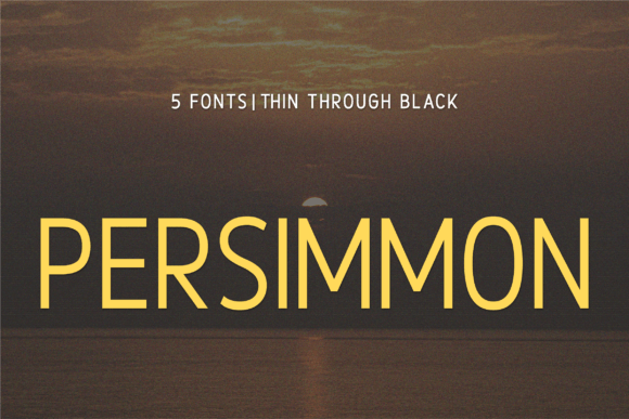 Persimmon Font: A Bold Sans Serif for Modern Campaigns